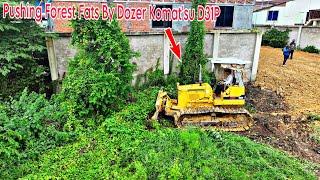 OMG!! Perfectly Project, Land Clearing Brush and Forest Using KOMATSU D31P Dozer Working Fast