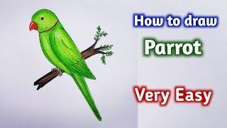 how to draw parrot easy step by step||Gali Gali Art ||