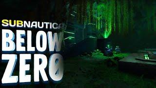 The Jungle Cache! [NEW Deep Lilypads Biome Cache] | Subnautica Below Zero News