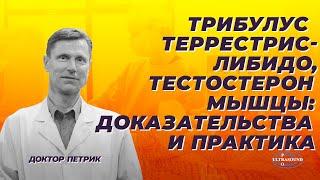 Трибулус террестрис- либидо, тестостерон, мышцы: доказательства и практика