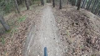 Old trail VS new trail. HOME TRAILS!