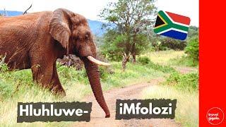 Travel Review: Hluhluwe iMfolozi Game Reserve, Northern KZN (South Africa Self Drive)