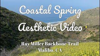 Ray Miller Backbone Trail: Coastal Spring Aesthetic Video