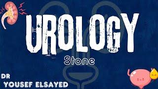 Stone part 1  Dr Yousef Elsayed