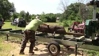 Slabbing a pin oak