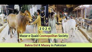 Bakra Eid ki Tayari K mazey in Pakistan - Heavy Cow - Cosmopolitan Society - Cows For Eid 2024