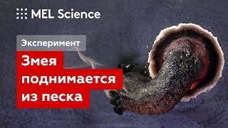 Эксперимент — Змея из сахара и соды