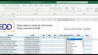 Calcular edad a partir de la CURP en Excel