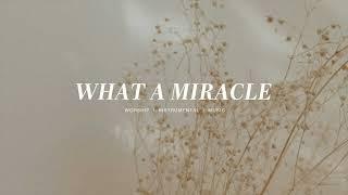 What a Miracle - Elevation Worship | Instrumental Worship | Soaking Music | Deep Prayer