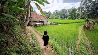 Hidup di desa,, Suasana pedesaan rumah mepet sawah begitu indah