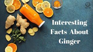 Ginger Facts/ Interesting Facts About Ginger/ Foodi 360