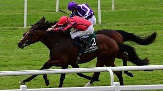 APPLES & BANANAS captures Goffs Million