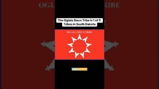 Visit Oglala.gov for more information about the Oglala Sioux Tribe. #oglalasiouxtribe #nativetiktok