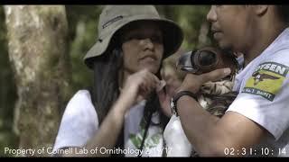 Release of an Endangered Bird by Akhmet Yeleukenov