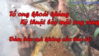 Lấy mật tổ ong khoái khủng không cần bảo hộ - đúng kỹ thuật | Ong Thành Nam