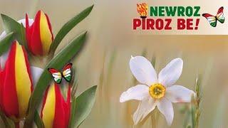 NEWROZ BAYRAMI GÜNEŞİ