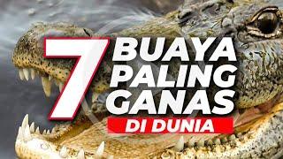 7 BUAYA PALING GANAS DI DUNIA