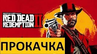 Прокачка здоровья, меткого глаза и выносливости в Red Dead Redemption 2 (прохождение RDR2)