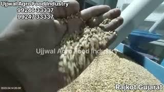 1TPH fully automatic flour plant #fullyautomaticflourmill  #flourplant by Ujjwal Agro Food Industry