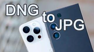 DNG to JPG Converter: The Best Way to Make Your Photos JPEGs