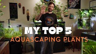 My Top 5 Favorite Aquascaping Plants!