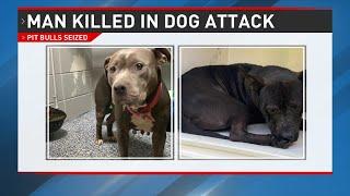 78-year-old man killed in pit bull attack