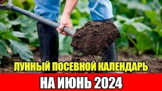 Лунный Посевной Календарь на ИЮНЬ 2024. Самый Точный Прогноз По Уходу За Растениями