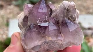 Hunting for California Amethyst Crystals