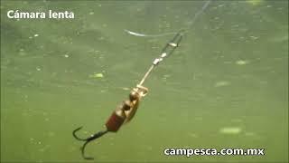 Cucharillas de pesca como las ve el pez