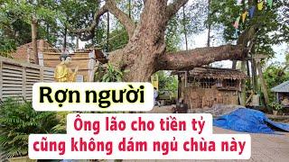 Rợn người ngôi chùa cổ nghe ớn lạnh