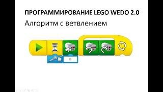 Программирование в Lego wedo 2.0 Алгоритм с ветвлением