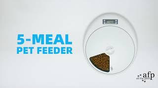 All For Paws - 5 Meals Pet Feeder