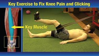 Key Exercise to Fix Knee Pain & Clicking (Answers are Here!) - Patella Tendonitis