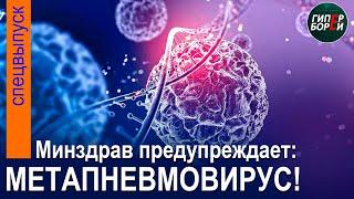 МЕТАПНЕВМОВИРУС hMPV: В Казахстане 30 положительных проб – Минздрав РК / ГИПЕРБОРЕЙ. Спецвыпуск