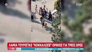 Λαμία: Τουρίστας «κοκκάλωσε» όρθιος για ώρες – Κρήτη: Τράγος εισέβαλε σε αυτοκίνητο τουριστών