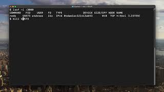 Find and kill process running on specific port on macOS