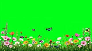 flower and butterfly green screen video |  flower garden green screen