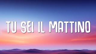 Lucio Corsi - Tu sei il mattino (Lyrics / Testo)