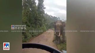 സ്കൂള്‍ ബസിന് നേരെ പാഞ്ഞടുത്ത് പടയപ്പ; ദൃശ്യങ്ങള്‍ | Padayappa |  Munnar