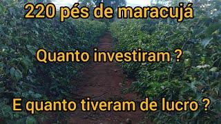 Plantação de Maracujá com 7 meses, quanto já deu de lucro ?