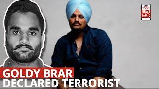 Gangster Goldy Brar, Linked To Singer Sidhu Moosewala Death Declared 'Terrorist': What It Means