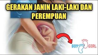 SEPERTI APA GERAKAN JANIN LAKI-LAKI DAN PEREMPUAN?