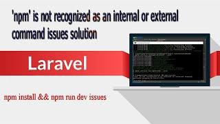 npm install && npm run dev not working issues solution