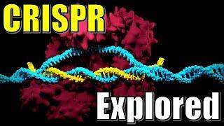 CRISPR and CAS9 Protein Complex Explained | The Science behind the Prokaryotic Immune System