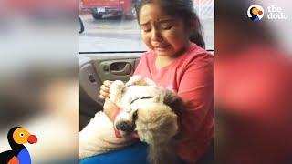 Girl Cries Over Dog's New Haircut | The Dodo