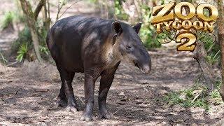 Zoo Tycoon 2: Baird's Tapir Exhibit Speed Build