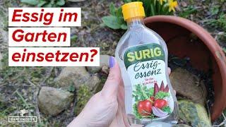 Essig im Garten gegen Unkraut und Co? Ist Essig eigentlich erlaubt oder verboten?