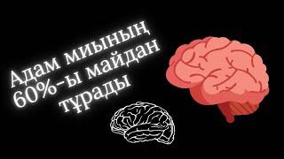 АДАМ МИЫ. МОЗГ ЧЕЛОВЕКА. Қызықты деректер. Интересные факты.