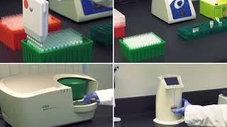 Droplet Digital PCR Whole Cell DNA Workflow Tips for Success