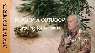 Robert C. Clarke - Q/A Sydney Expo: Indoor or outdoor growing for terpenes?